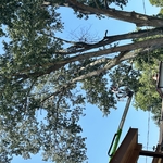 Tree Service Project