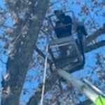 Tree Service Project