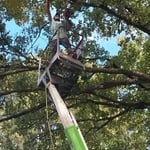 Tree Service Project
