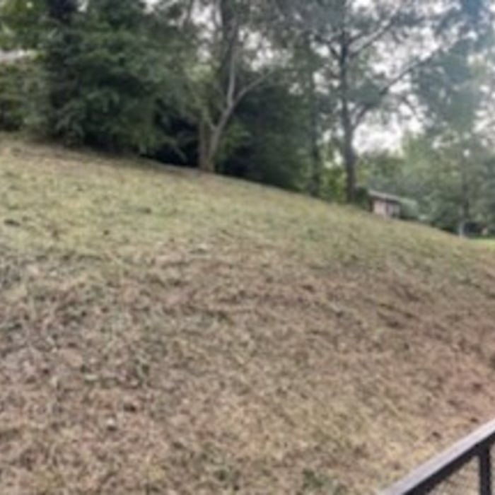 Hill in front of house