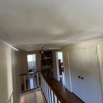 Interior Painting Project