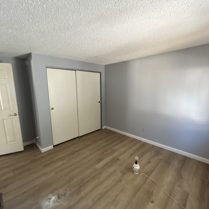 Painting - Interior Project