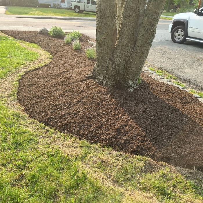 Additional Photos