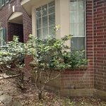 Pressure Washing Project