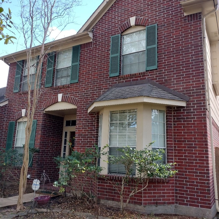 Pressure Washing Project