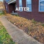 Bush Removal