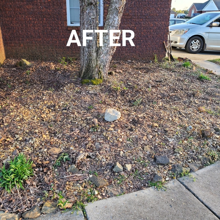 Bush Removal