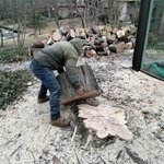 Tree Service Project