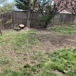 Tree Service Project