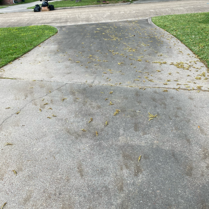 Additional Photos