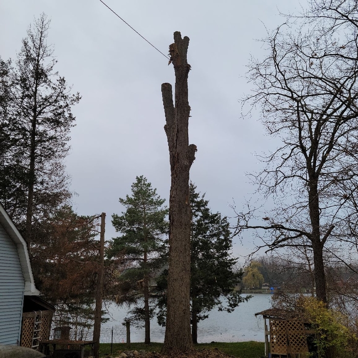 Additional Photos