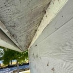 House painting