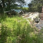 Manila yard Cleanup