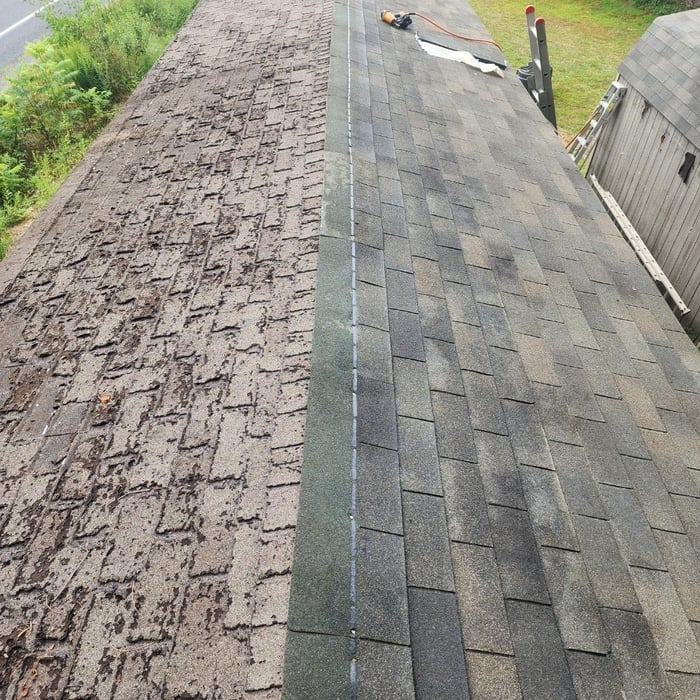 Shed roof replacement