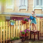 Wood Picket Fence