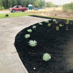 Front flower bed