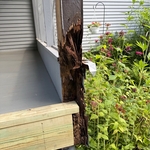 Screened porch repair
