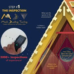TitTHE INSPECTIONle