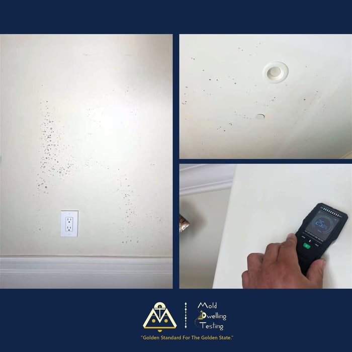 MOISTURE METER