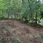 Backyard renovation