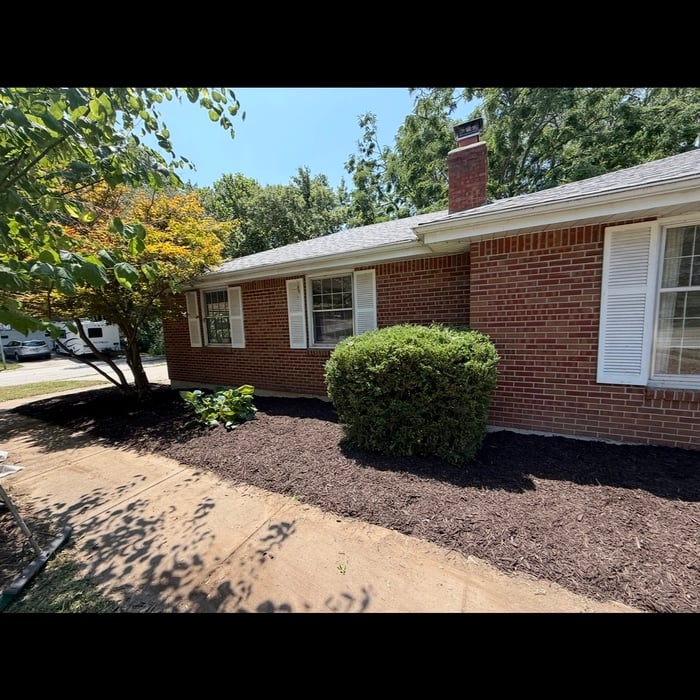 Front yard restoration