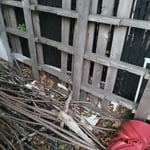 Garage clean out