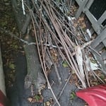 Garage clean out