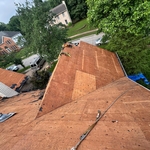 Roof shingles