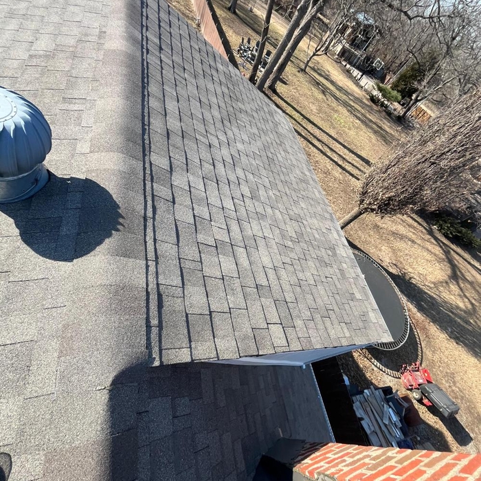 Roof shingles