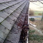 Before gutter guards