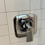 Shower trim replacement