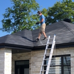 Shingle Rejuvenation