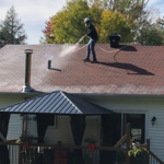 Shingle Rejuvenation