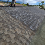 Shingle Rejuvenation
