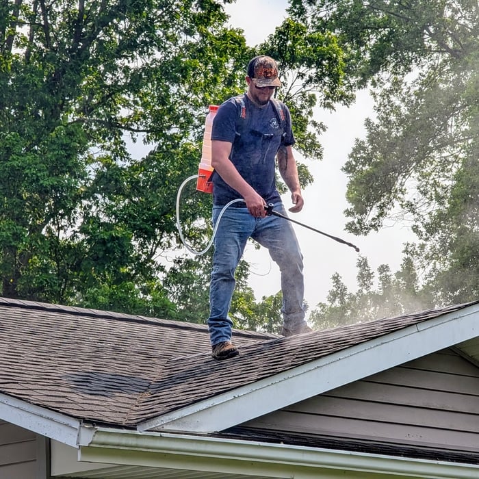 Shingle Rejuvenation