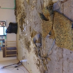 Carpet/underlayment