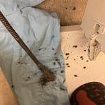 Drain Cleanings