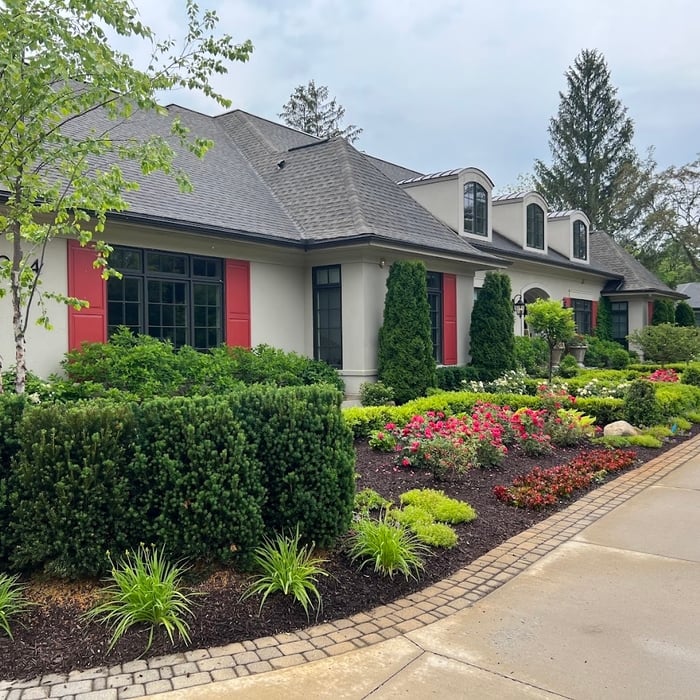 Front Yard