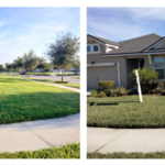 Yard work
