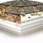 gutter protection