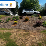 Dead pine straw, bland look the slop is also killing the grass at the very bottom.