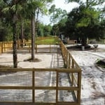 Acuarela Dog Ranch