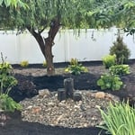 Back yard transformation