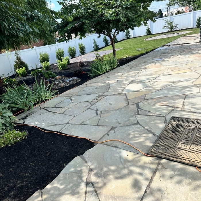Back yard transformation