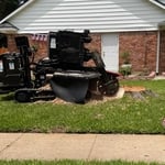 Stumps removed