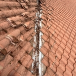 Tile R&P/ Roof Cleaning