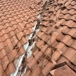 Tile R&P/ Roof Cleaning