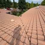 Tile R&P/ Roof Cleaning