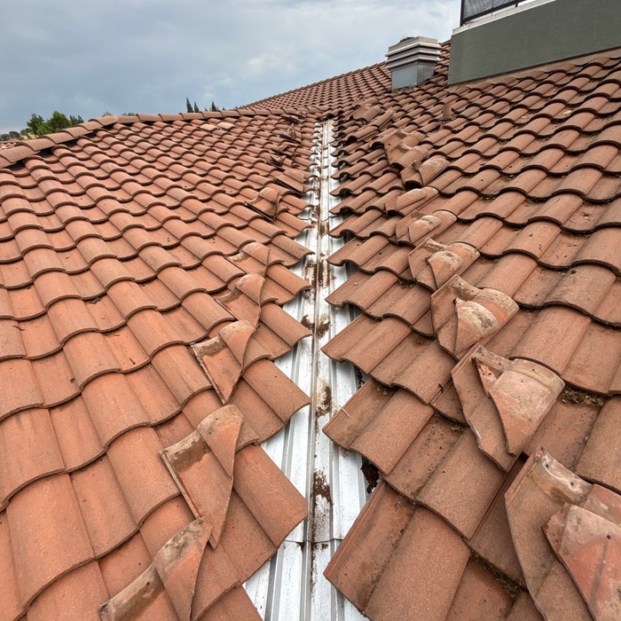 Tile R&P/ Roof Cleaning