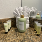 bathroom details